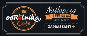  MILA - wniosek grantowy