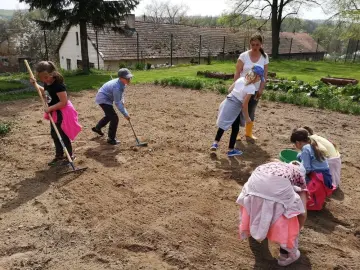 Warsztaty z edukacji ekologicznej dla dzieci i młodzieży