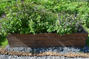 Uczą dzieci rolnictwa od kuchni