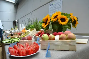 KSOW - Ekologia To jest TO